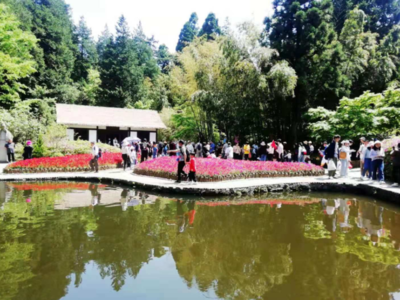 小長(zhǎng)假前三天，廬山游客接待量創(chuàng)今年新高，景區(qū)管理舉措成效顯著