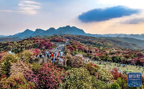 詩意中國(guó)丨春日上春山 景區(qū)管理的詩意與秩序