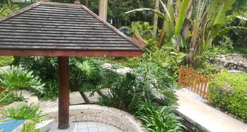 南寧嘉和城溫泉谷游覽全攻略 門票、地址、游玩路線與管理解析