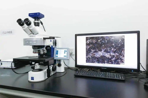 永鋼 硬核實力的背后——獲江蘇省省長質量獎的汽輪機研發與銷售之道